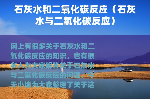 石灰水和二氧化碳反应（石灰水与二氧化碳反应）