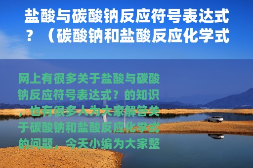 盐酸与碳酸钠反应符号表达式？（碳酸钠和盐酸反应化学式）