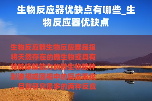 生物反应器优缺点有哪些_生物反应器优缺点