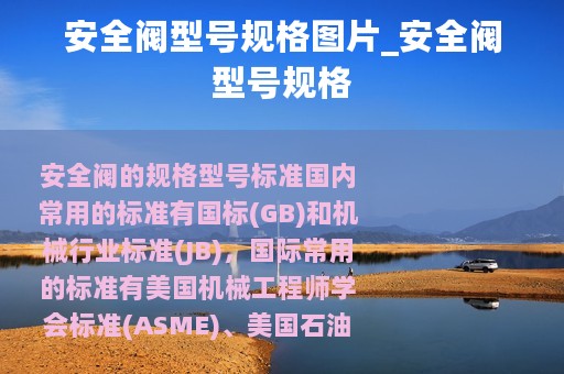 安全阀型号规格图片_安全阀型号规格