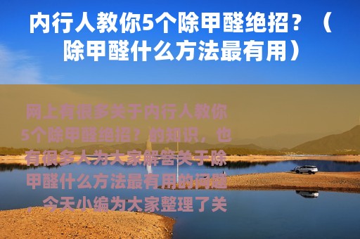 内行人教你5个除甲醛绝招？（除甲醛什么方法最有用）