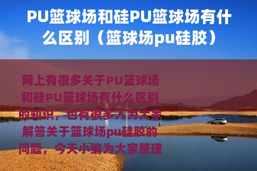 PU篮球场和硅PU篮球场有什么区别（篮球场pu硅胶）