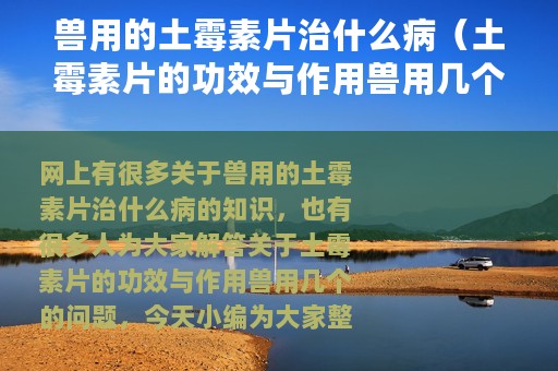 兽用的土霉素片治什么病（土霉素片的功效与作用兽用几个）