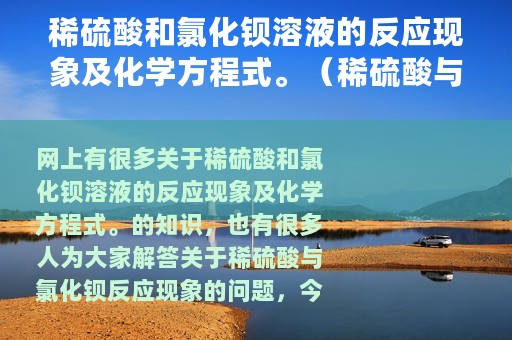 稀硫酸和氯化钡溶液的反应现象及化学方程式。（稀硫酸与氯化钡反应现象）