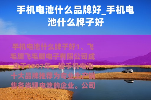 手机电池什么品牌好_手机电池什么牌子好