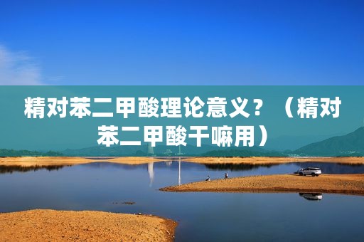 精对苯二甲酸理论意义？（精对苯二甲酸干嘛用）