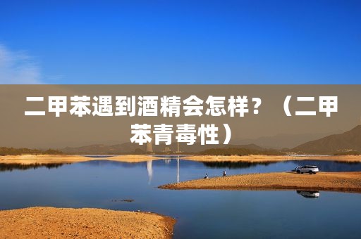 二甲苯遇到酒精会怎样？（二甲苯青毒性）