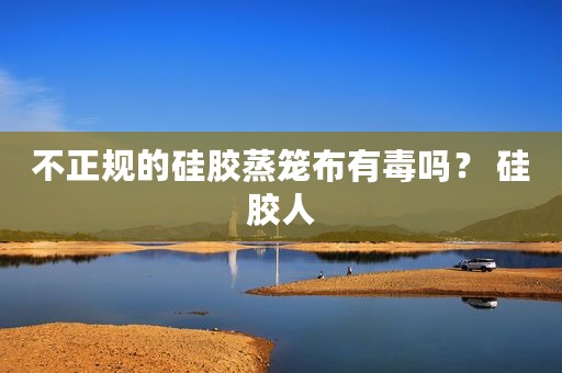 不正规的硅胶蒸笼布有毒吗？ 硅胶人