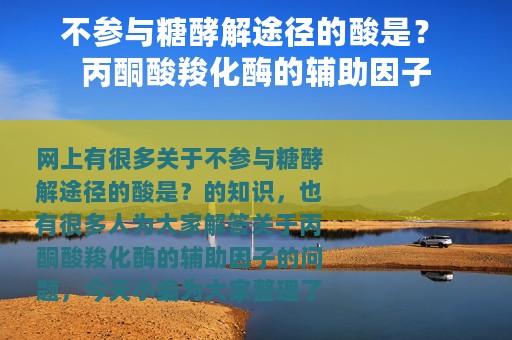 不参与糖酵解途径的酸是？ 丙酮酸羧化酶的辅助因子