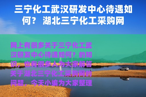 三宁化工武汉研发中心待遇如何？ 湖北三宁化工采购网