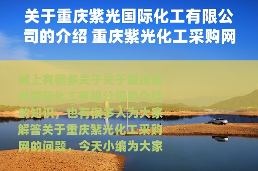 关于重庆紫光国际化工有限公司的介绍 重庆紫光化工采购网