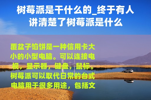 树莓派是干什么的_终于有人讲清楚了树莓派是什么