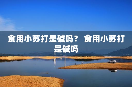 食用小苏打是碱吗？ 食用小苏打是碱吗