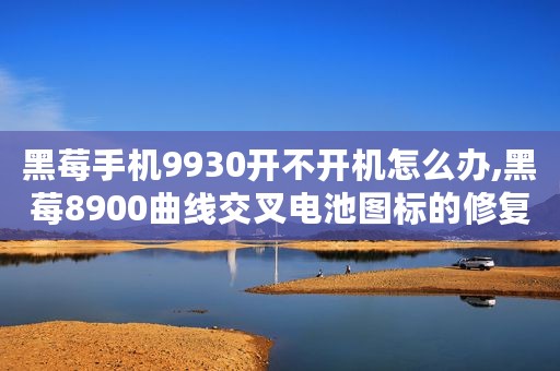 黑莓手机9930开不开机怎么办,黑莓8900曲线交叉电池图标的修复