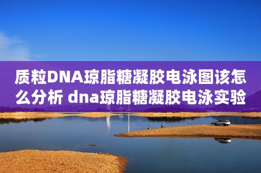 质粒DNA琼脂糖凝胶电泳图该怎么分析 dna琼脂糖凝胶电泳实验步骤
