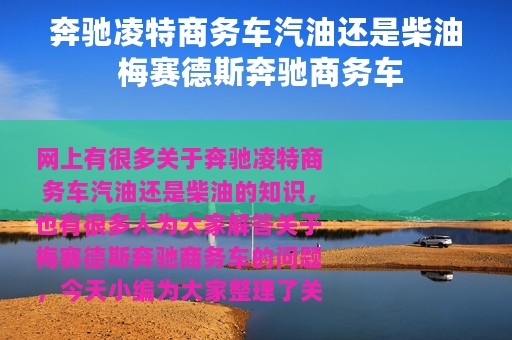 奔驰凌特商务车汽油还是柴油 梅赛德斯奔驰商务车