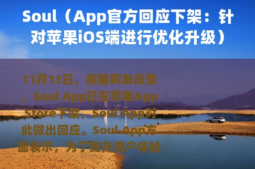 Soul（App官方回应下架：针对苹果iOS端进行优化升级）