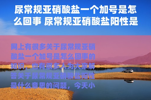 尿常规亚硝酸盐一个加号是怎么回事 尿常规亚硝酸盐阳性是什么意思