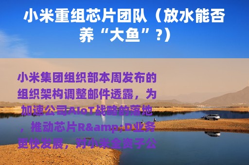 小米重组芯片团队（放水能否养“大鱼”?）