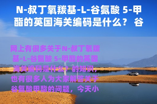 N-叔丁氧羰基-L-谷氨酸 5-甲酯的英国海关编码是什么？ 谷氨酸甲酯
