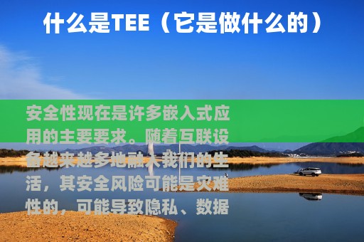 什么是TEE（它是做什么的）