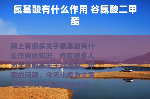 氨基酸有什么作用 谷氨酸二甲酯