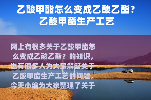 乙酸甲酯怎么变成乙酸乙酯？ 乙酸甲酯生产工艺