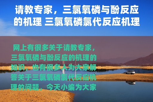 请教专家，三氯氧磷与酚反应的机理 三氯氧磷氯代反应机理