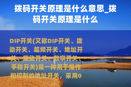 拨码开关原理是什么意思_拨码开关原理是什么