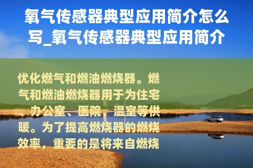 氧气传感器典型应用简介怎么写_氧气传感器典型应用简介