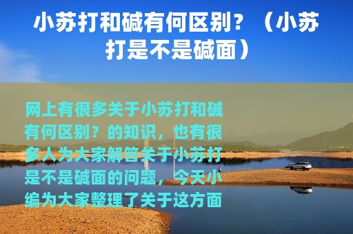 小苏打和碱有何区别？（小苏打是不是碱面）