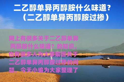 二乙醇单异丙醇胺什么味道？（二乙醇单异丙醇胺过掺）