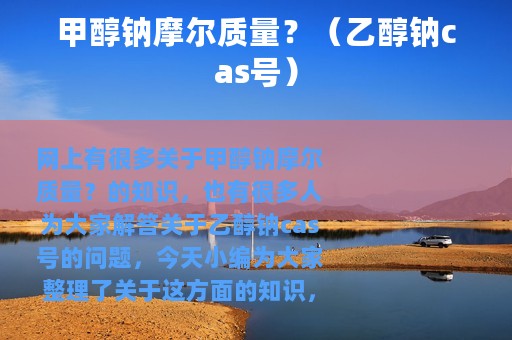 甲醇钠摩尔质量？（乙醇钠cas号）