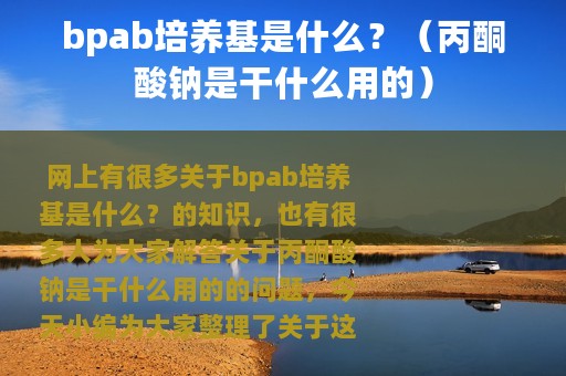bpab培养基是什么？（丙酮酸钠是干什么用的）