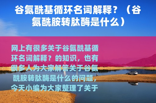谷氨酰基循环名词解释？（谷氨酰胺转肽酶是什么）