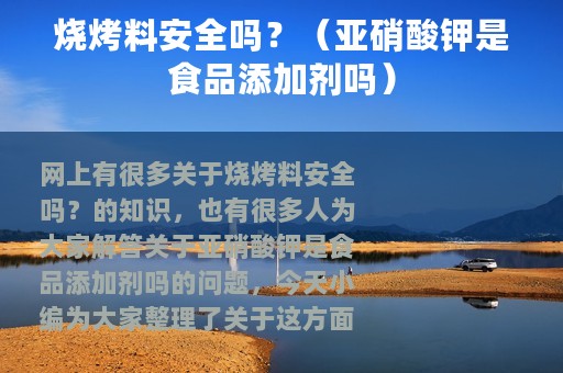 烧烤料安全吗？（亚硝酸钾是食品添加剂吗）