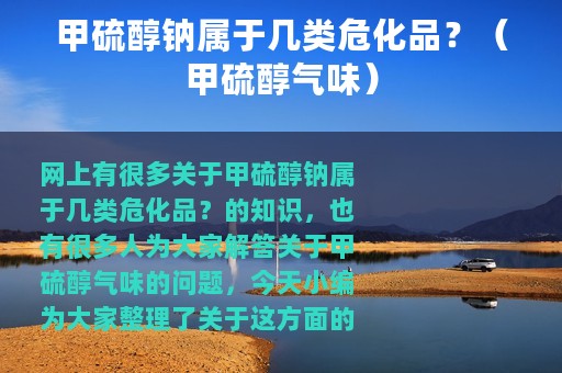 甲硫醇钠属于几类危化品？（甲硫醇气味）