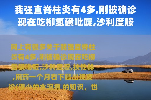 我强直脊柱炎有4多,刚被确诊现在吃柳氮磺吡啶,沙利度胺,扶他林,用药一个月右下腿出现皮诊(很小的水泡痛...（柳氮磺吡啶栓太难受了）