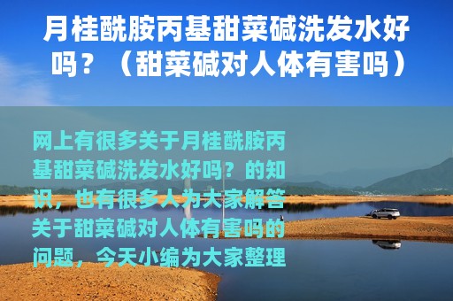 月桂酰胺丙基甜菜碱洗发水好吗？（甜菜碱对人体有害吗）
