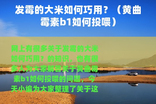 发霉的大米如何巧用？（黄曲霉素b1如何投喂）
