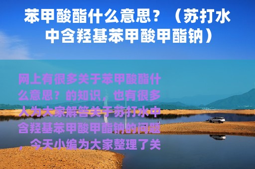 苯甲酸酯什么意思？（苏打水中含羟基苯甲酸甲酯钠）