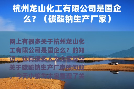 杭州龙山化工有限公司是国企么？（碳酸钠生产厂家）
