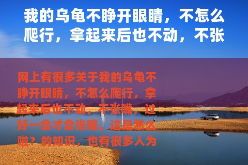 我的乌龟不睁开眼睛，不怎么爬行，拿起来后也不动，不张嘴，过好一会才会张嘴。这是怎么啦？（头孢他啶注射说明书用量）