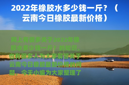2022年橡胶水多少钱一斤？（云南今日橡胶最新价格）