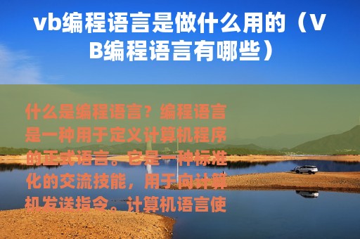 vb编程语言是做什么用的（VB编程语言有哪些）