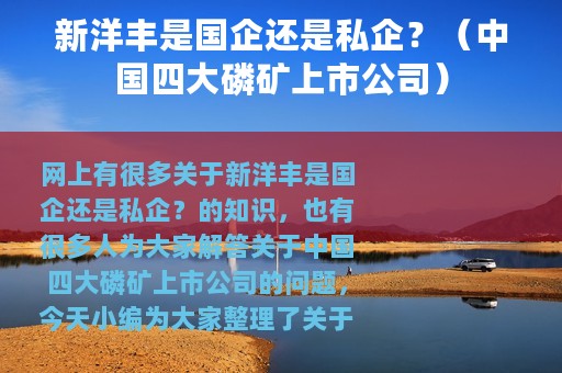 新洋丰是国企还是私企？（中国四大磷矿上市公司）