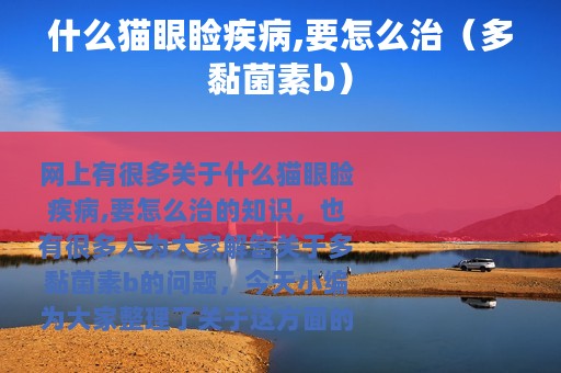 什么猫眼睑疾病,要怎么治（多黏菌素b）
