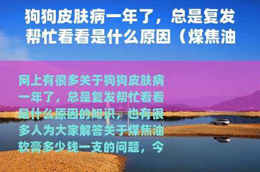狗狗皮肤病一年了，总是复发帮忙看看是什么原因（煤焦油软膏多少钱一支）