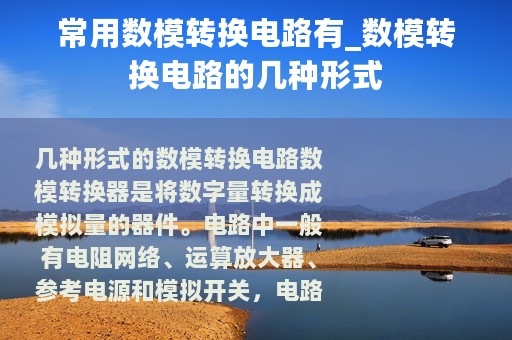 常用数模转换电路有_数模转换电路的几种形式