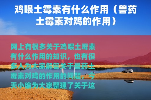 鸡喂土霉素有什么作用（兽药土霉素对鸡的作用）